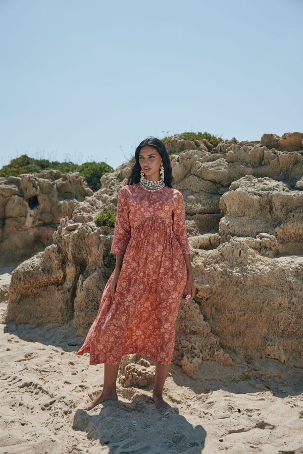 ⁦שמלת אופל חמרה⁩ – תמונה ⁦5⁩